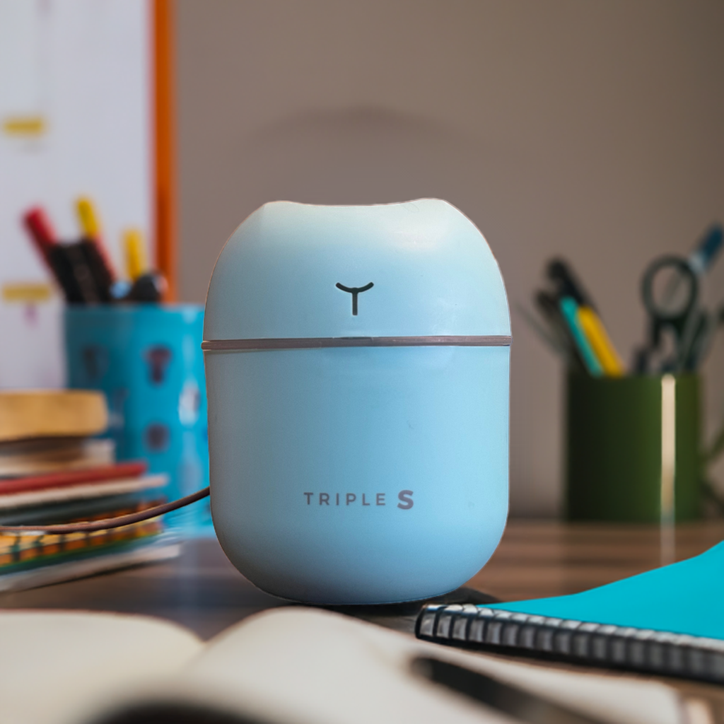 Essential Oil Diffuser and Humidifier