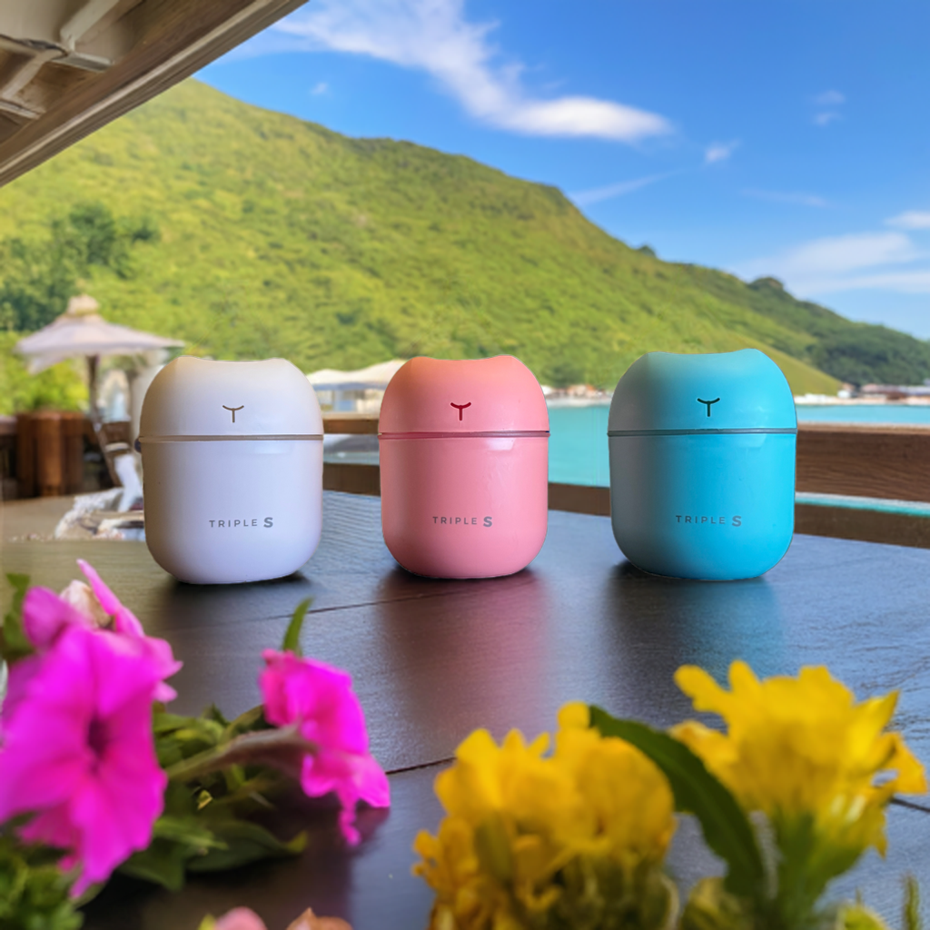 Essential Oil Diffuser and Humidifier