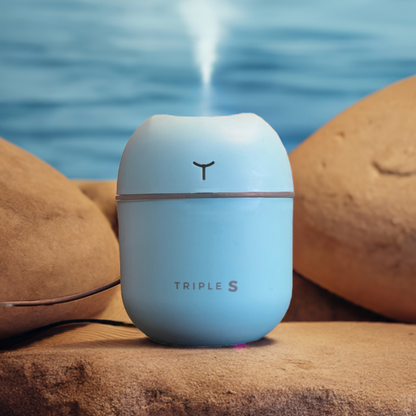 Essential Oil Diffuser and Humidifier
