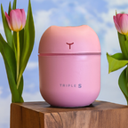 Essential Oil Diffuser and Humidifier