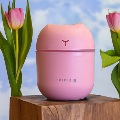 Essential Oil Diffuser and Humidifier